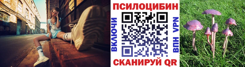 Галлюциногенные грибы Psilocybine cubensis Рязань