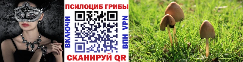 MEGA ссылки  Рязань  Галлюциногенные грибы мицелий 