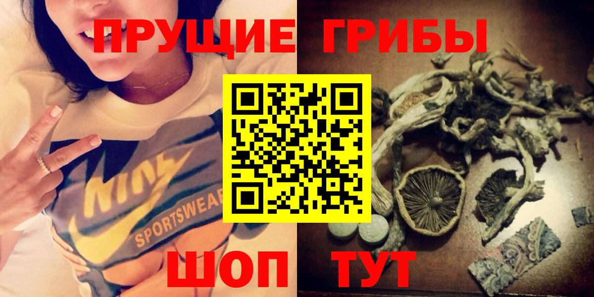 Галлюциногенные грибы Psilocybe  хочу   Рязань  Вход с VPN 